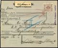 Lot 1060