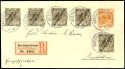 Lot 7010