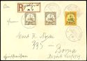 Lot 7135