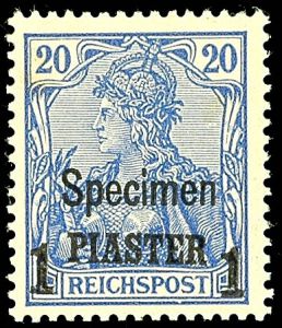 Lot 5038
