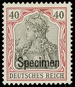 Lot 1146