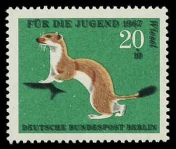 Lot 4437