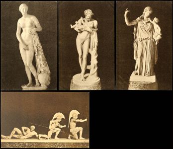 Lot 1365