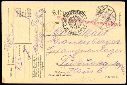 Lot 3595