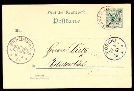Lot 5546