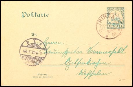Lot 4551