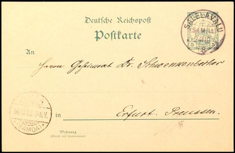 Lot 6369