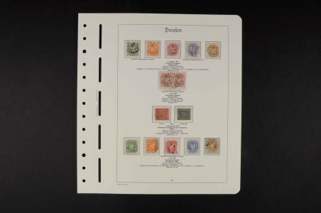 Lot 10204