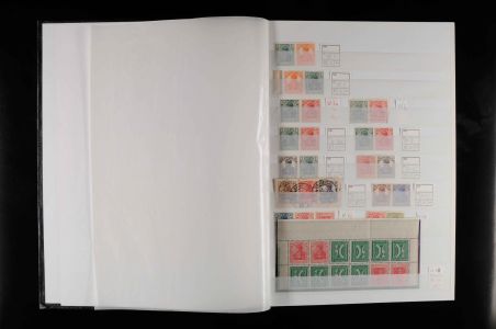 Lot 9169