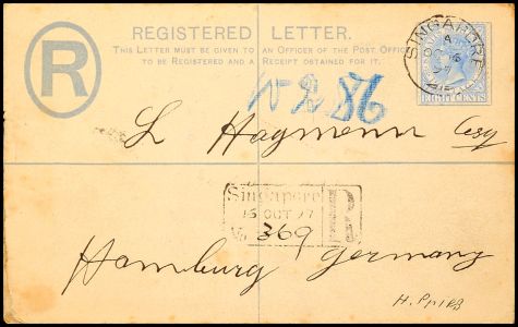 Lot 8195