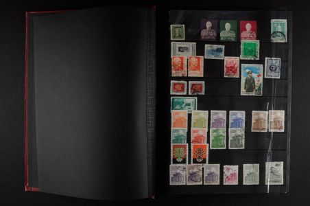 Lot 2542