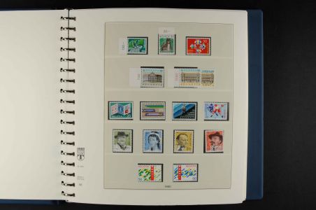 Lot 2445
