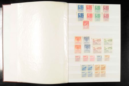 Lot 2537