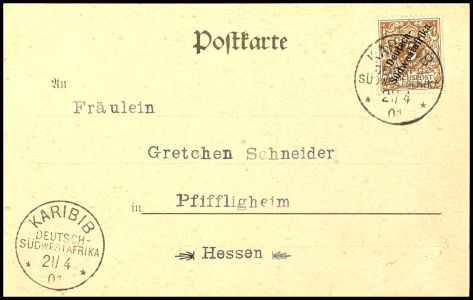 Lot 3560