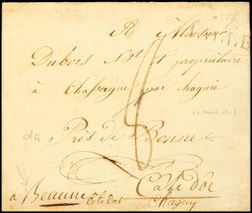 Lot 8194