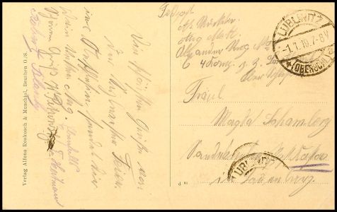 Lot 8655