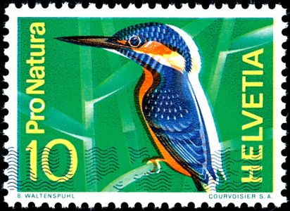 Lot 7305