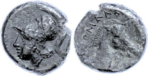 Lot 8