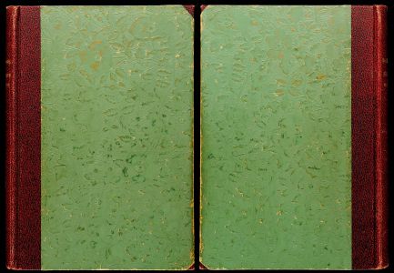 Lot 2460