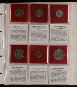 Lot 2213