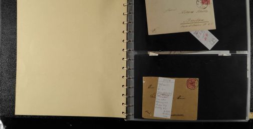 Lot 10995