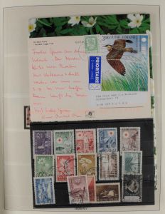 Lot 7513