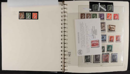 Lot 6983