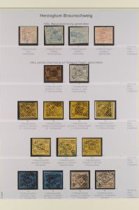 Lot 8447