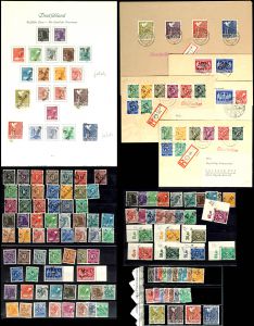 Lot 8893