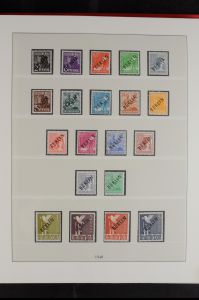 Lot 6569