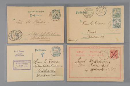 Lot 4691