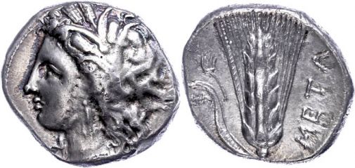 Lot 8