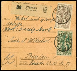Lot 2558