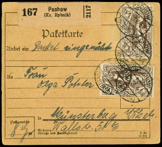 Lot 2565