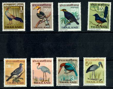 Lot 4205