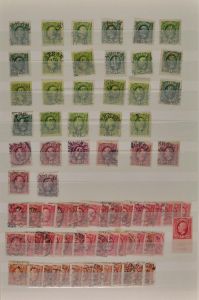 Lot 7684