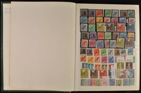 Lot 5966
