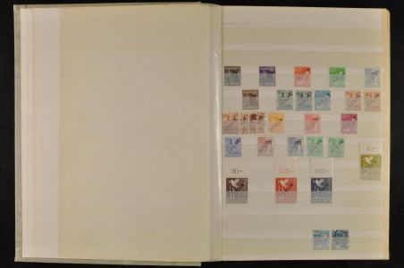 Lot 5986