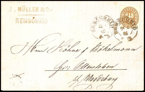 Lot 1155