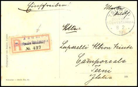 Lot 4909