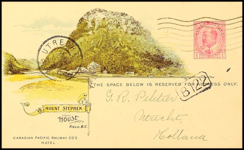 Lot 10119