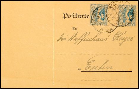 Lot 4303