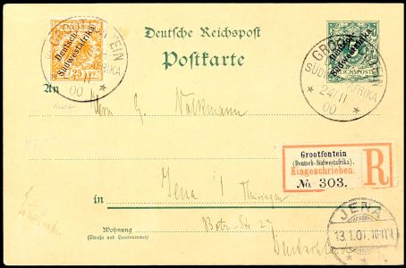 Lot 3513