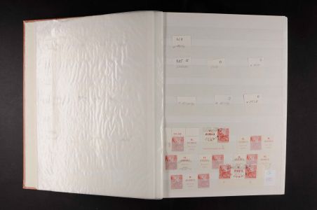 Lot 11545