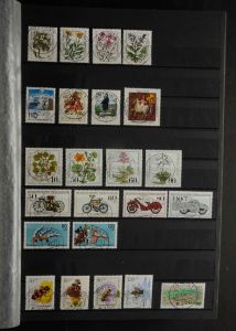 Lot 11643
