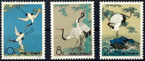 Lot 6811