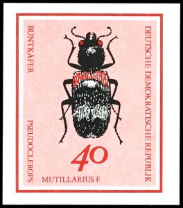 Lot 6343