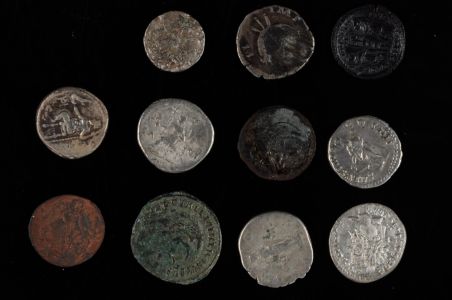 Lot 7