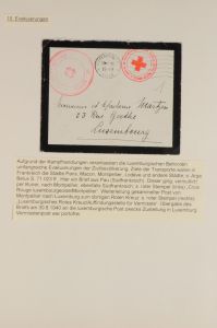 Lot 5523