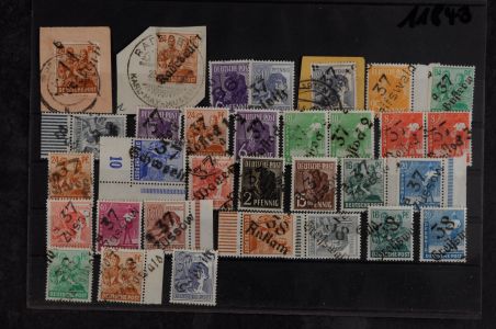 Lot 8009